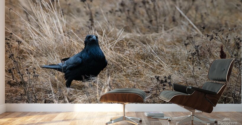 Have We Met  Wall Murals