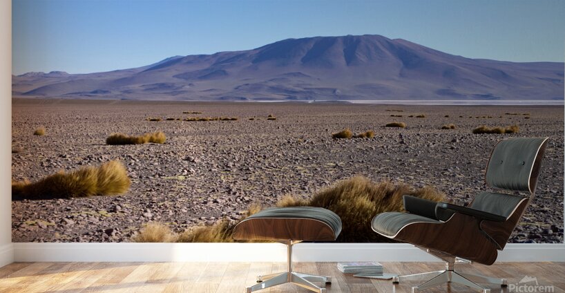 Bolivia Avaroa National Park 3 Wall Murals