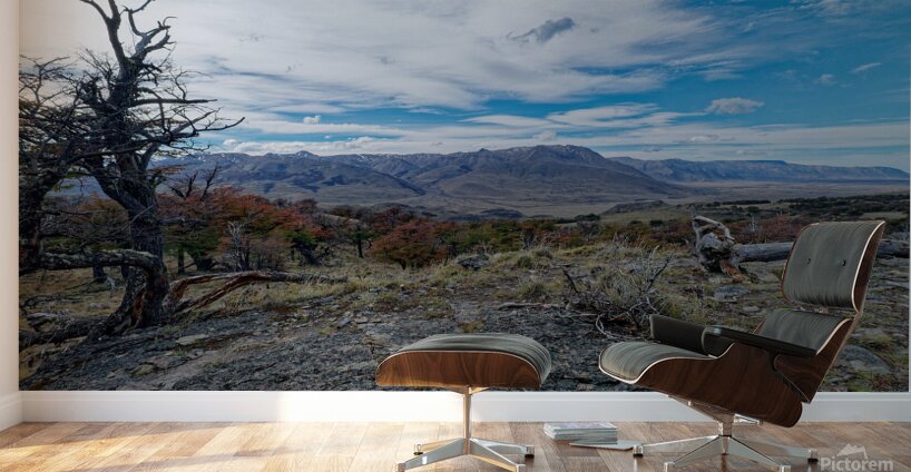 El Chalten vista  Wall Murals