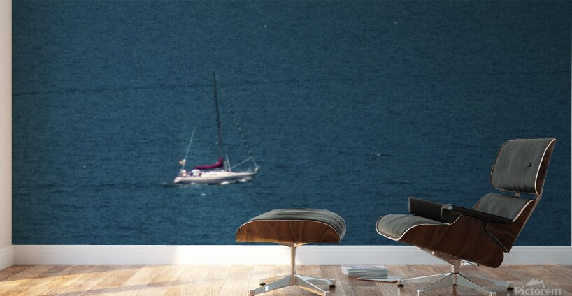 IMG 5280 Wall Murals