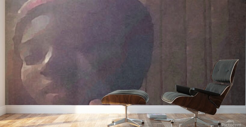 Artiste musicals  Wall Murals