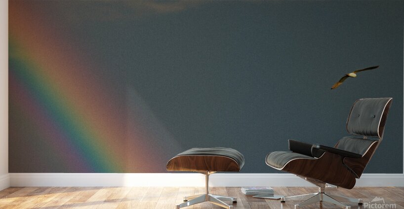 IMG 0347 Wall Murals