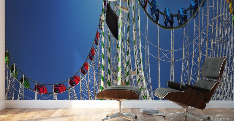 Roller Coaster Wall Murals