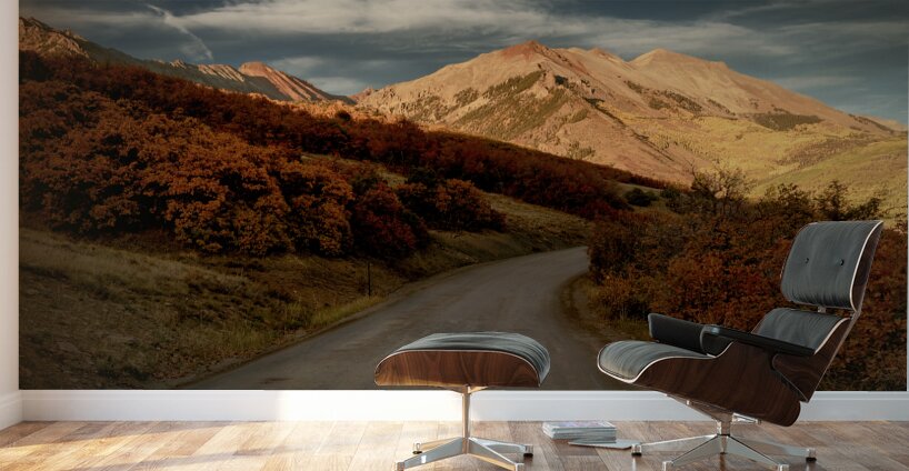 Colorado Backroads in Autumn Wall Murals