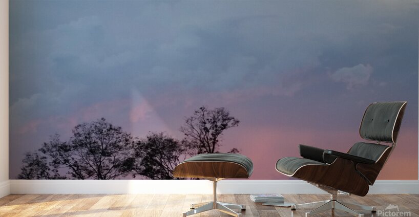 Pink Sunset  Wall Murals