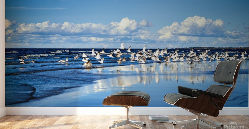 Birds Of The Blue    I Wall Murals