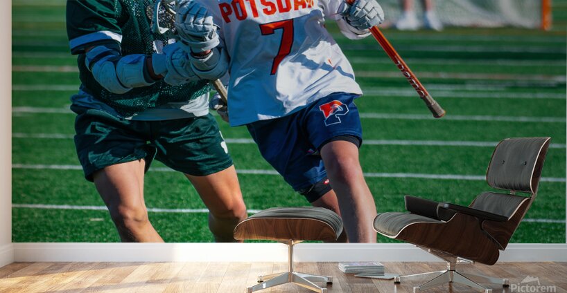  DSC2193 Enhanced NR Wall Murals