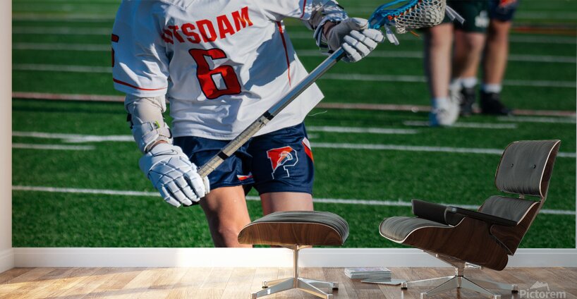  DSC2296 Enhanced NR Wall Murals