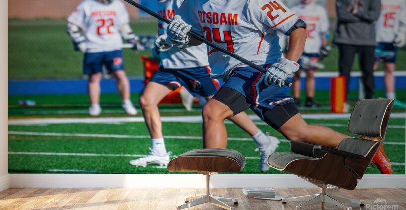  DSC2182 Enhanced NR Wall Murals