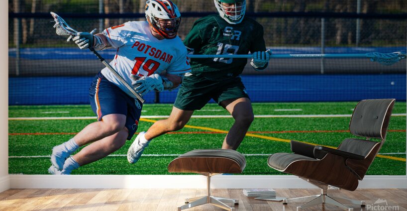  DSC2312 Enhanced NR Wall Murals