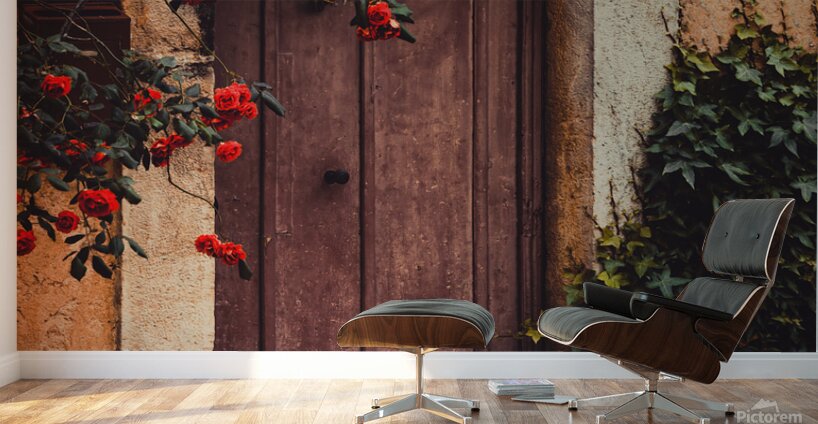 Rustic doorway Valbonne France Wall Murals