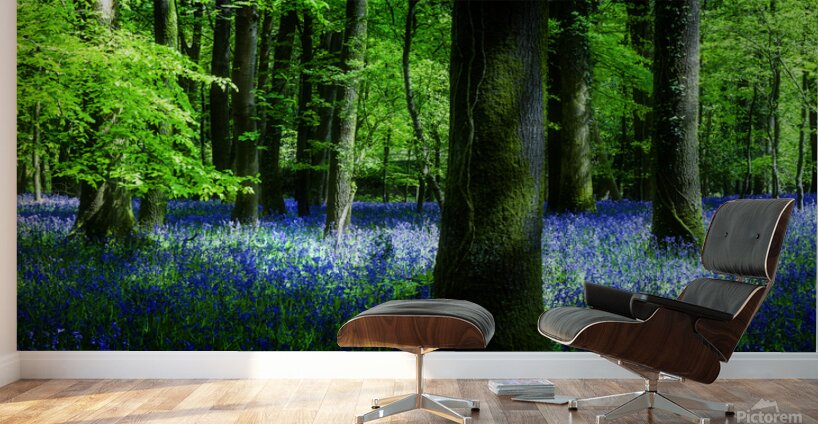 Bluebell Wood Devon Wall Murals