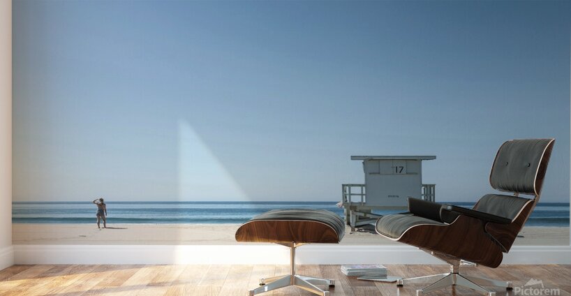 The Horizen Wall Murals