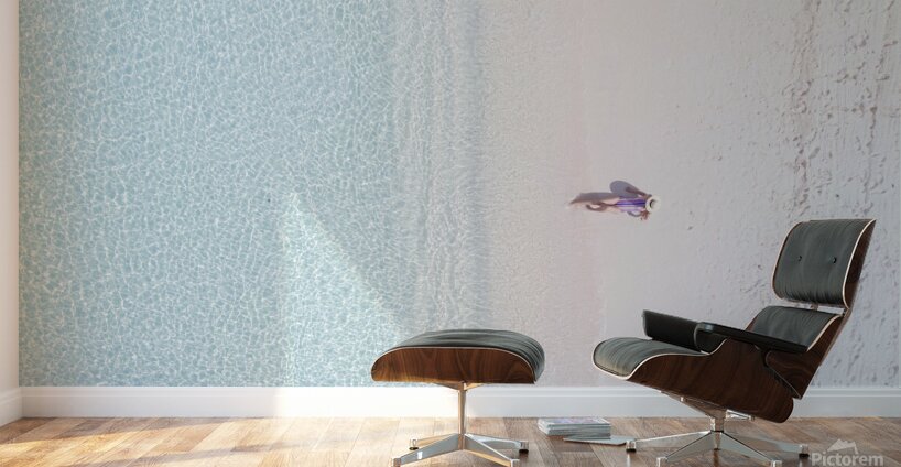 Clear Water Wall Murals