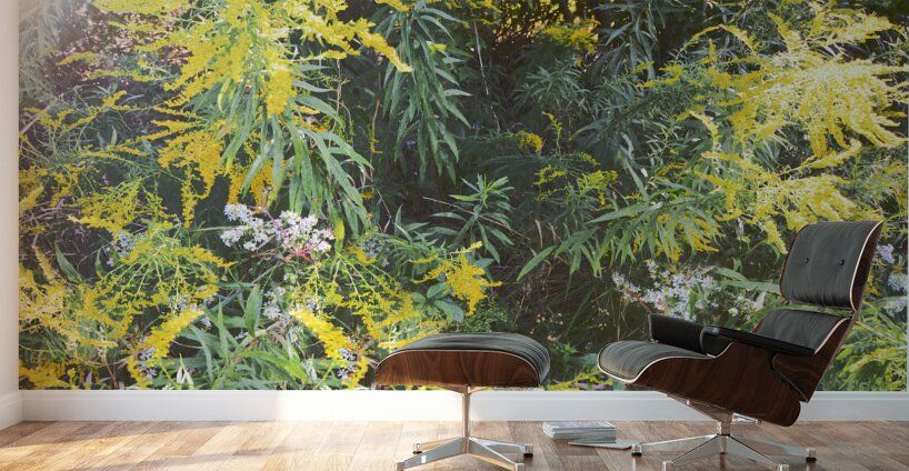 Goldenrod Version 3 OS Wall Murals