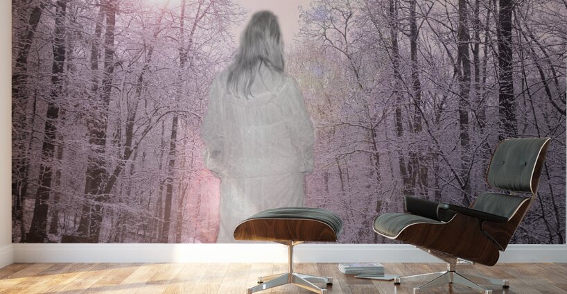 Gypsy Winter Road OS Wall Murals