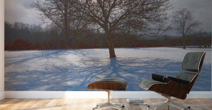 Walnut Tree Snow and Shadow OS Wall Murals