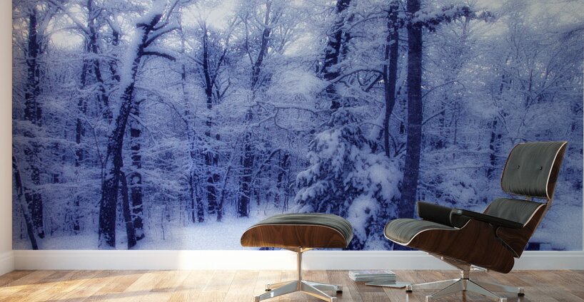 Winter Glow OS Wall Murals