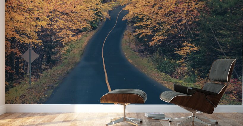 Chemin dautomne Wall Murals