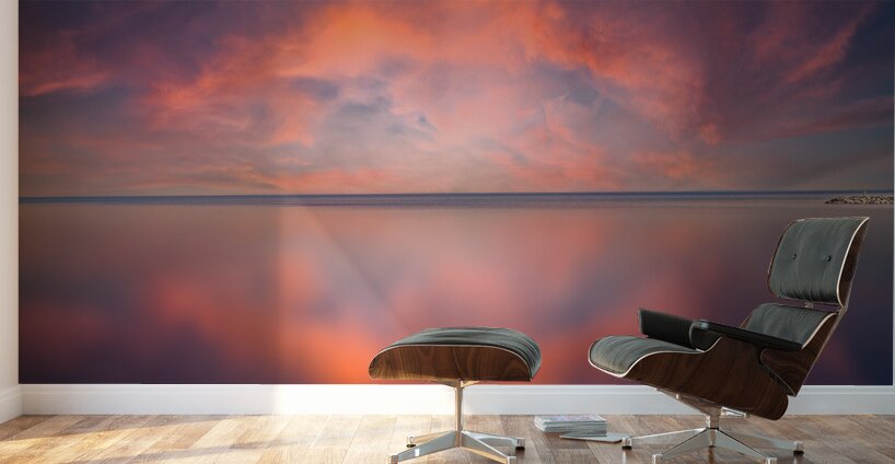 Reflexion Wall Murals