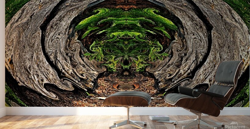 Jungle Gate Wall Murals