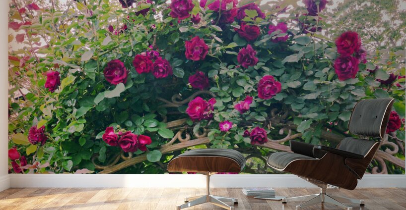 Summer Rose Arbor edit 4 Original size Wall Murals
