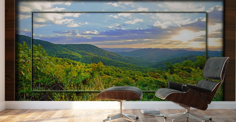 Franklin Morning TF Wall Murals