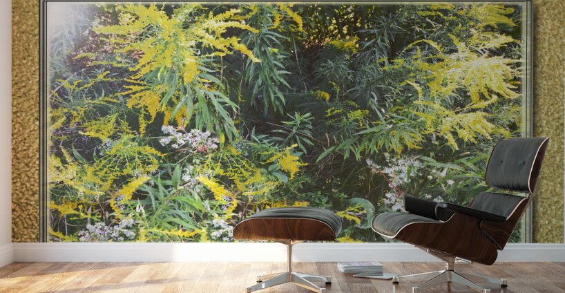 Goldenrod Vers 3  Wall Murals