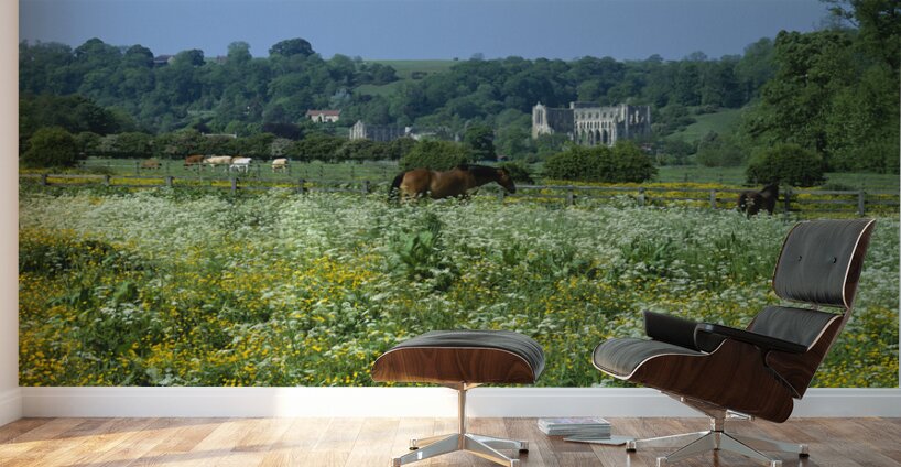 Horses grazing in field North Yorkshire England 76100 Wall Murals