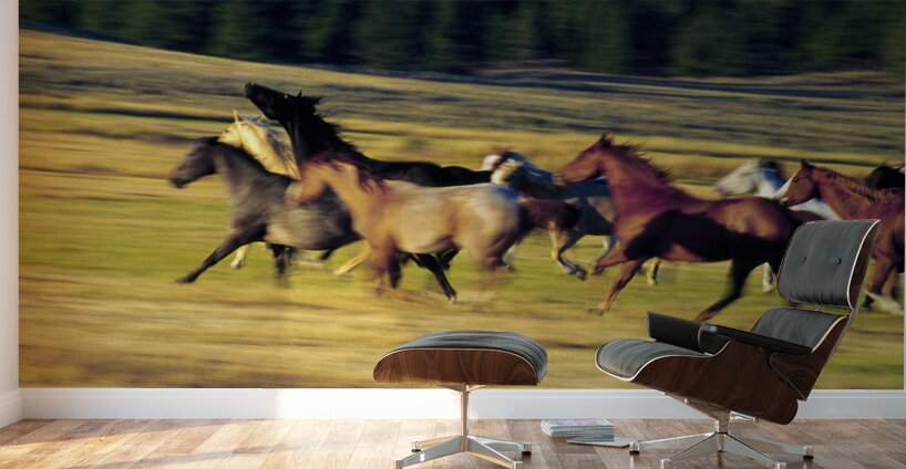 Herd of horses running Oregon United States 102763 Wall Murals