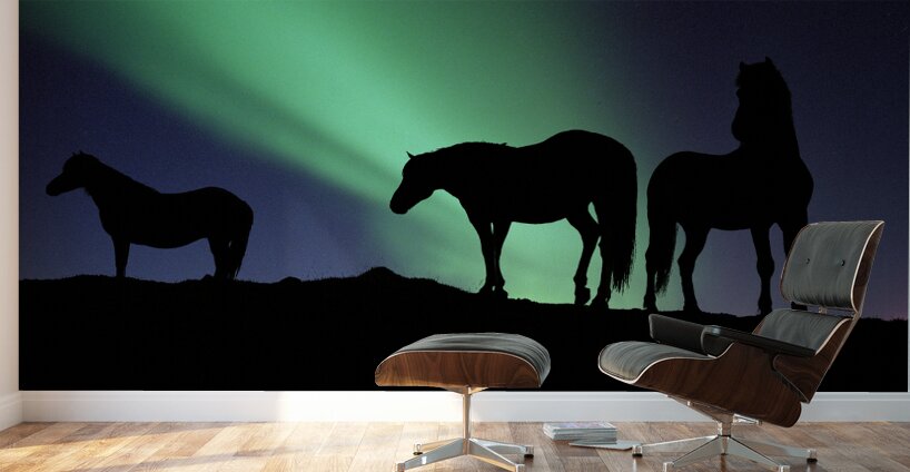 Aurora Borealous Silhouette of horses at dusk Iceland 123985 Wall Murals