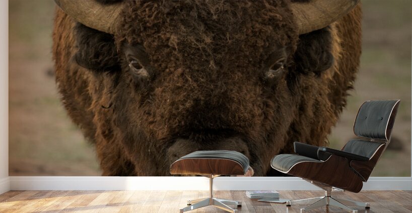 Arsenal Pride Wall Murals