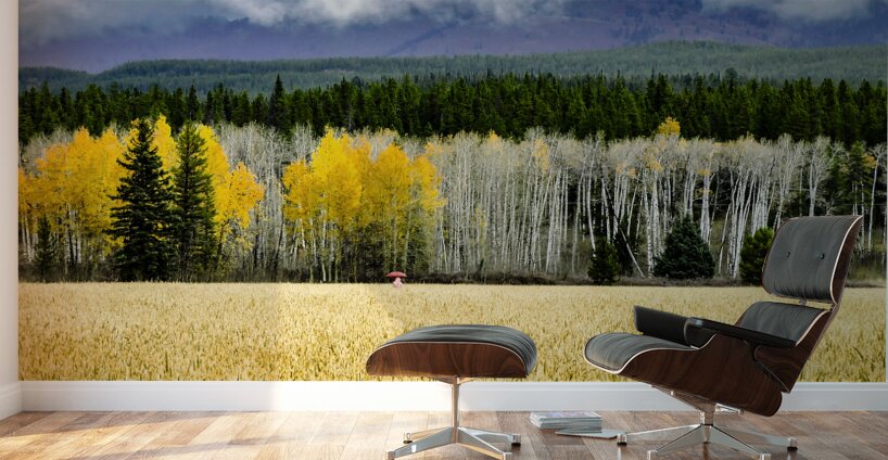 Teton Red Umbrella Wall Murals