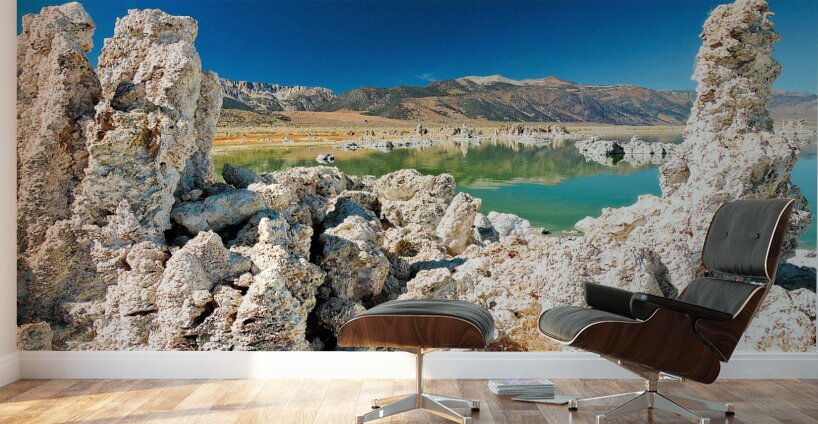Mono Lake Tufa Salt Lake Wall Murals