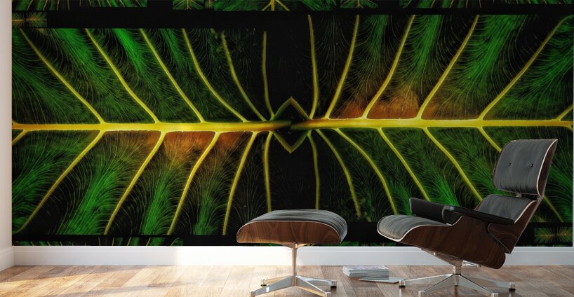 V1239 Wall Murals