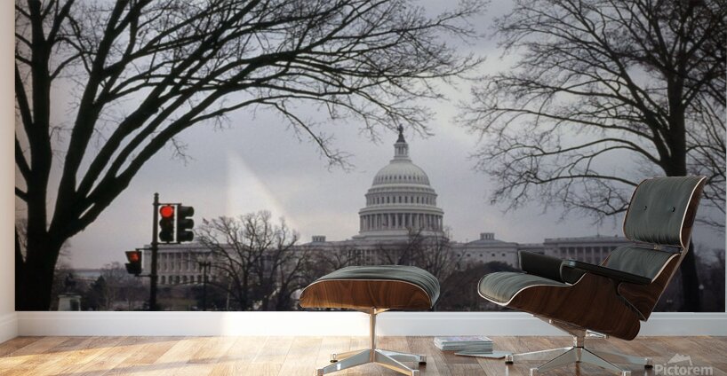 US Capital Bldg. Small Print Wall Murals