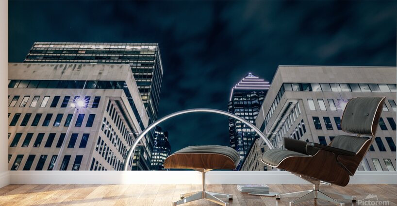 IMG 8470 Wall Murals