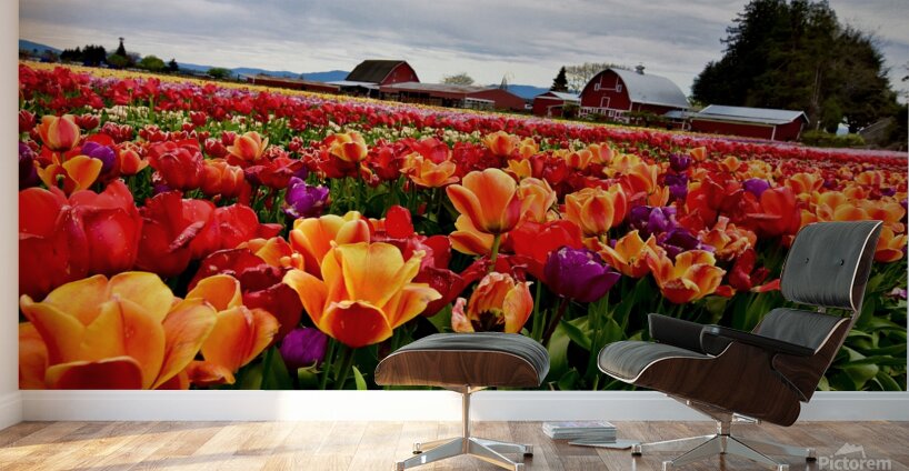 Field of Glory  Wall Murals