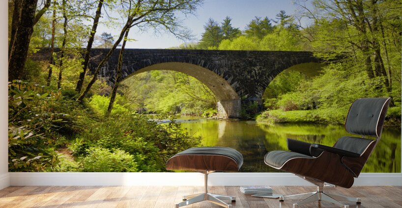 Linville River Bridge NC Wall Murals