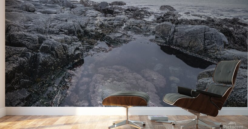 Maritime Basin Wall Murals