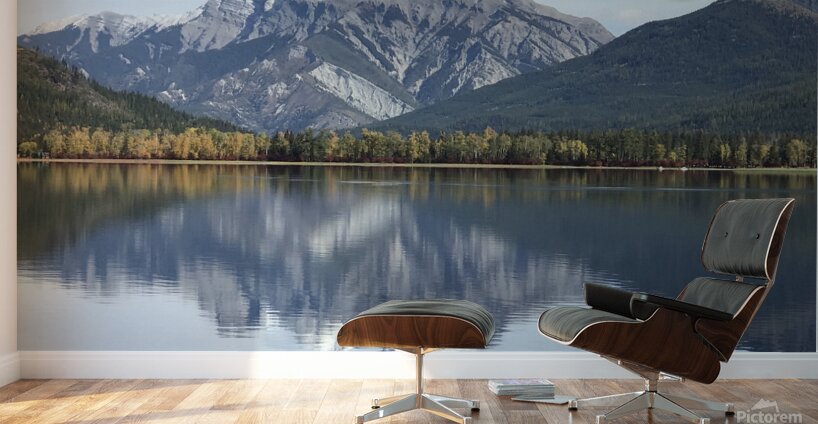 Whiteswan Lake Wall Murals