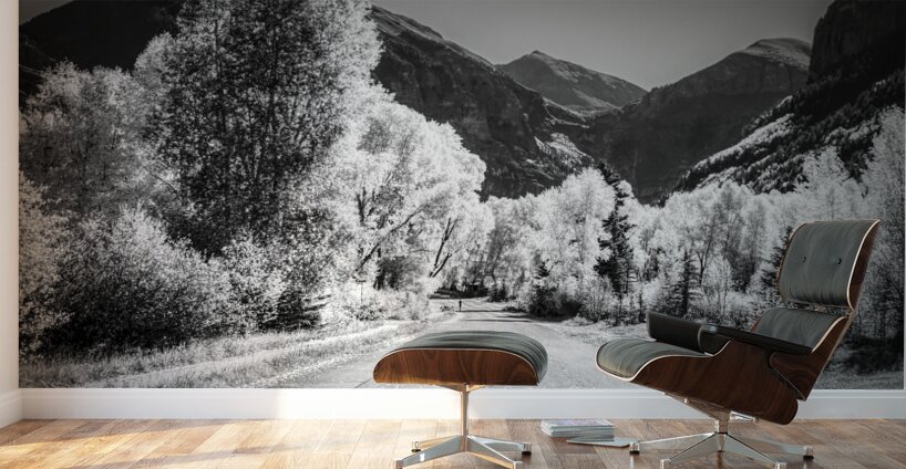 Aspen Backroad Mountain Runner Wall Murals