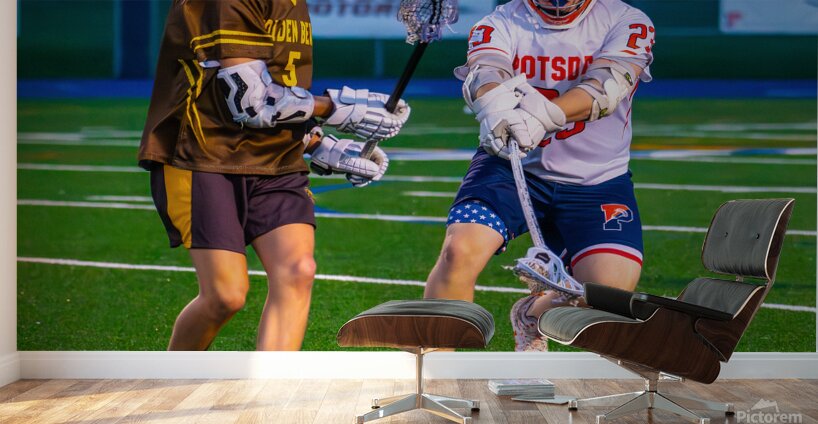  DSC2806 Enhanced NR Wall Murals