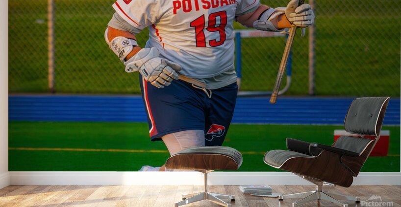  DSC2786 Enhanced NR Wall Murals