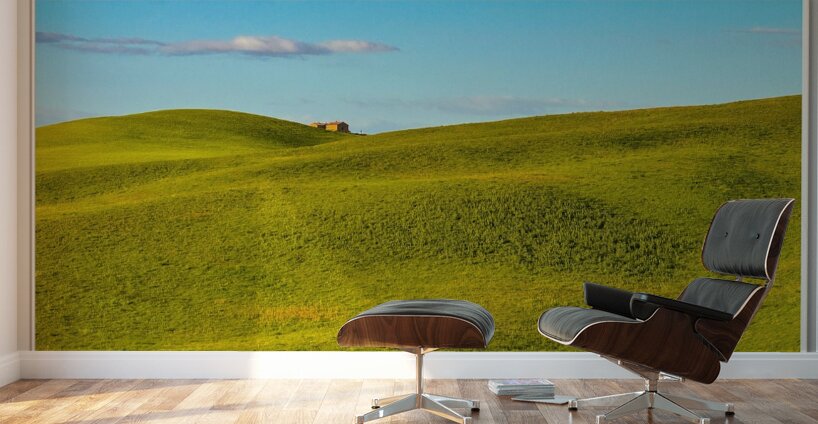 img 1905 2 Wall Murals