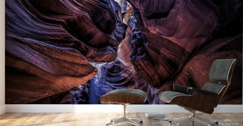 Antelope 14 Wall Murals