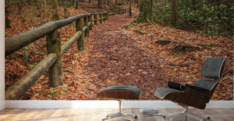 Store Georgia 5L3A5708 Wall Murals