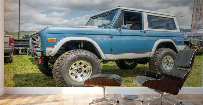 1976 Bronco Smiley at Super Celebration East Wall Murals