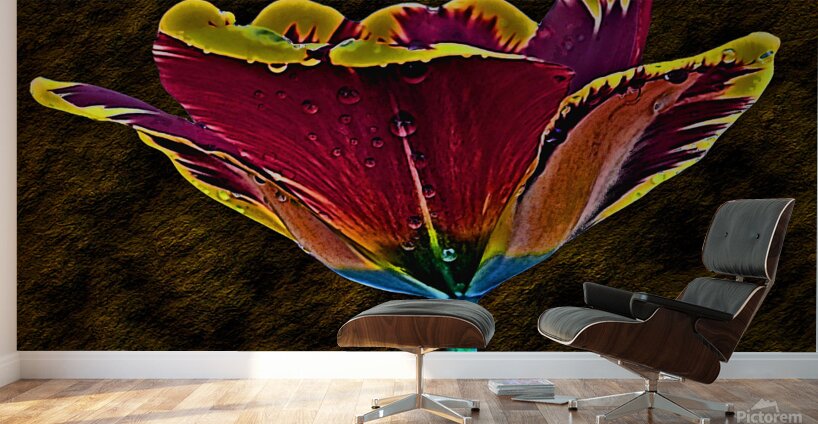 Tulip Art Wall Murals