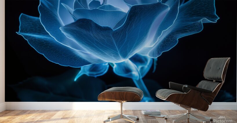 Blue Bioluminescent Rose Black Background Wall Murals